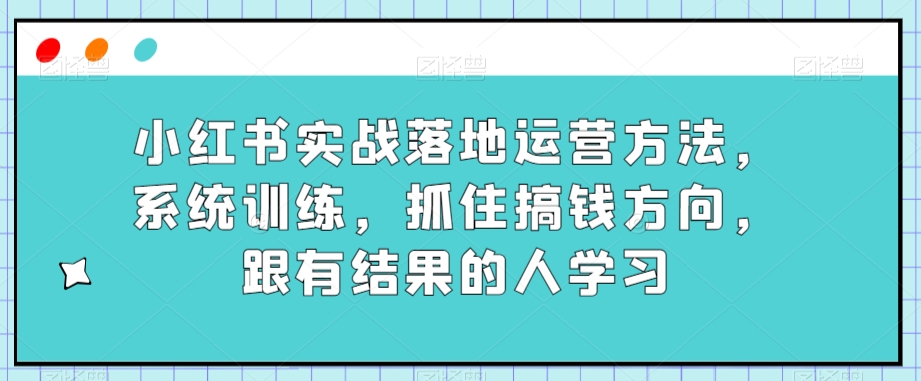 小红书实战落地运营方法，系统训练，抓住搞钱方向，跟有结果的人学习-大齐资源站