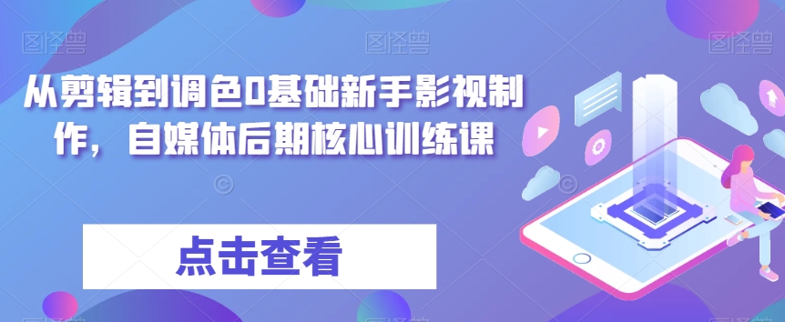 从剪辑到调色0基础新手影视制作，自媒体后期核心训练课-大齐资源站