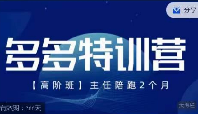 纪主任·多多特训营高阶班【9月13日更新】，拼多多最新玩法技巧落地实操-大齐资源站