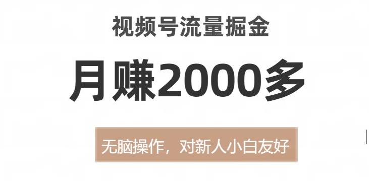 视频号流量掘金，无脑操作，对新人小白友好，月赚2000多【揭秘】-大齐资源站