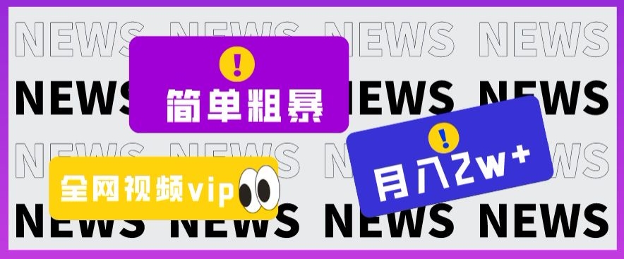 简单粗暴零成本，高回报，全网视频VIP掘金项目，月入2万＋【揭秘】-大齐资源站