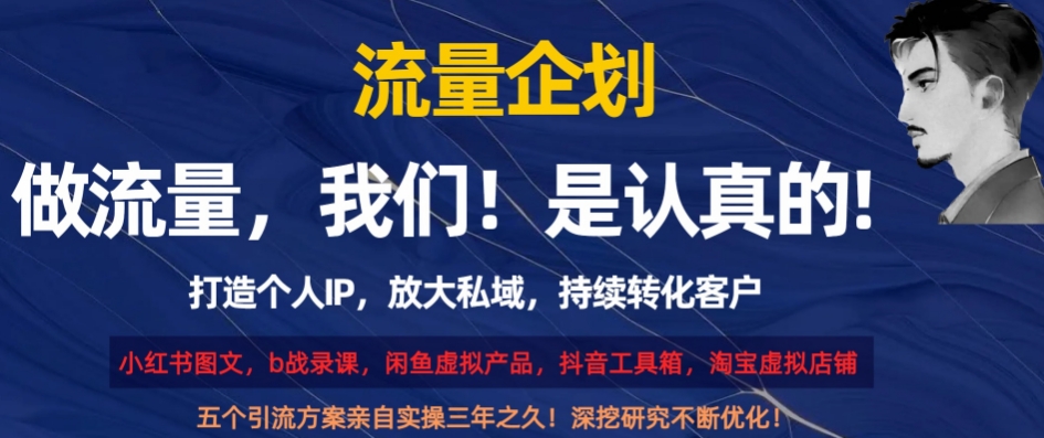 流量企划，打造个人IP，放大私域，持续转化客户【揭秘】-大齐资源站