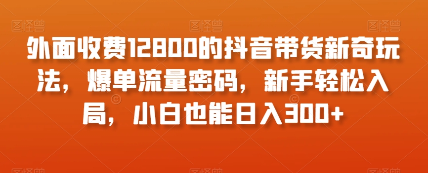 外面收费12800的抖音带货新奇玩法，爆单流量密码，新手轻松入局，小白也能日入300+【揭秘】-大齐资源站