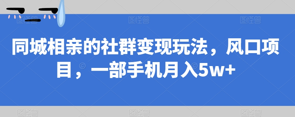 同城相亲的社群变现玩法，风口项目，一部手机月入5w+【揭秘】-大齐资源站