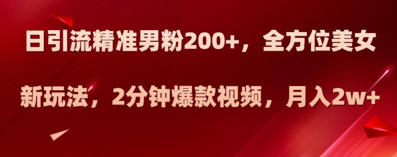 日引流精准男粉200+，全方位美女新玩法，2分钟爆款视频，月入2w+【揭秘】-大齐资源站