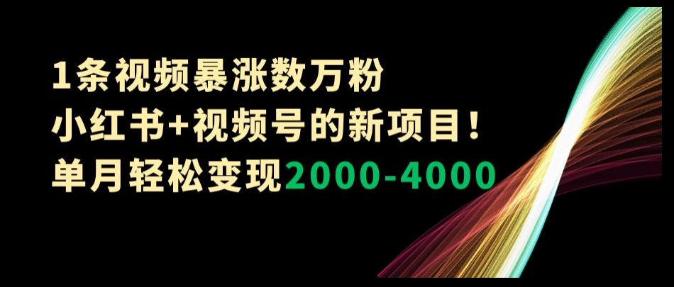 1条视频暴涨数万粉–小红书+视频号的新项目！单月轻松变现2000-4000【揭秘】-大齐资源站