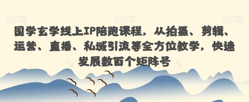 国学玄学线上IP陪跑课程，从拍摄、剪辑、运营、直播、私域引流等全方位教学，快速发展数百个矩阵号-大齐资源站