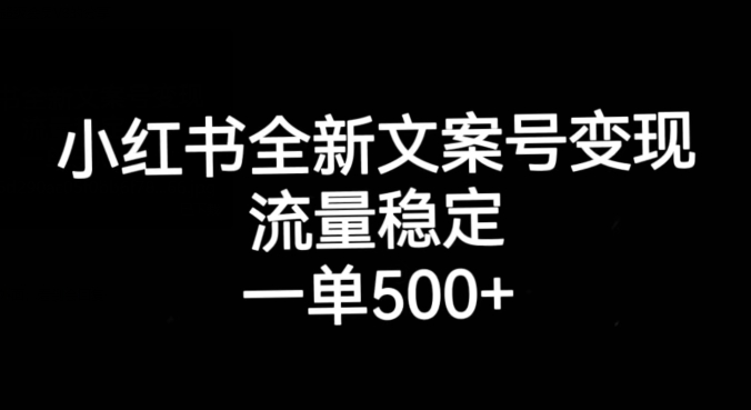 小红书全新文案号变现，流量稳定，一单收入500+-大齐资源站