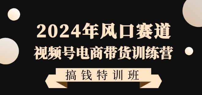 2024年风口赛道视频号电商带货训练营搞钱特训班，带领大家快速入局自媒体电商带货-大齐资源站