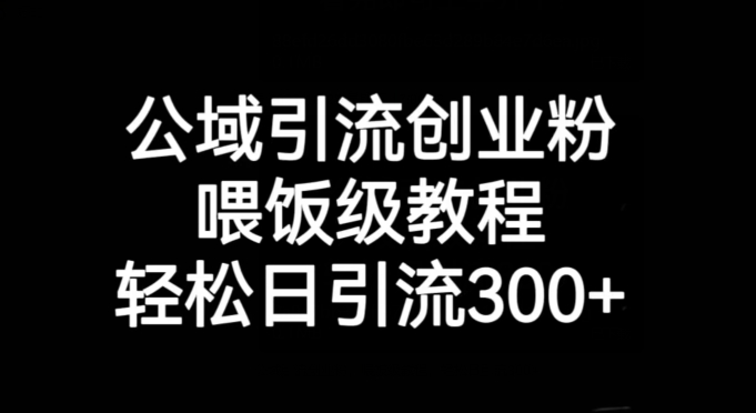 公域引流创业粉，喂饭级教程，轻松日引流300+【揭秘】-大齐资源站