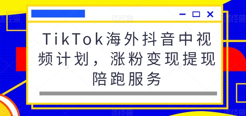 TikTok海外抖音中视频计划，涨粉变现提现陪跑服务-大齐资源站