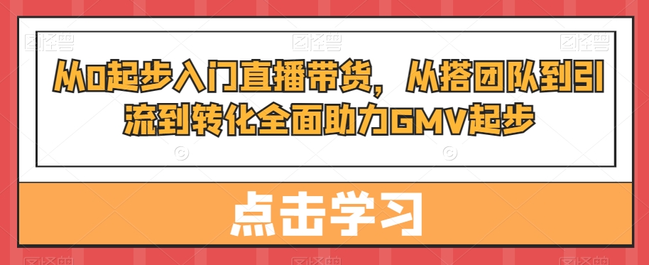 从0起步入门直播带货，​从搭团队到引流到转化全面助力GMV起步-大齐资源站