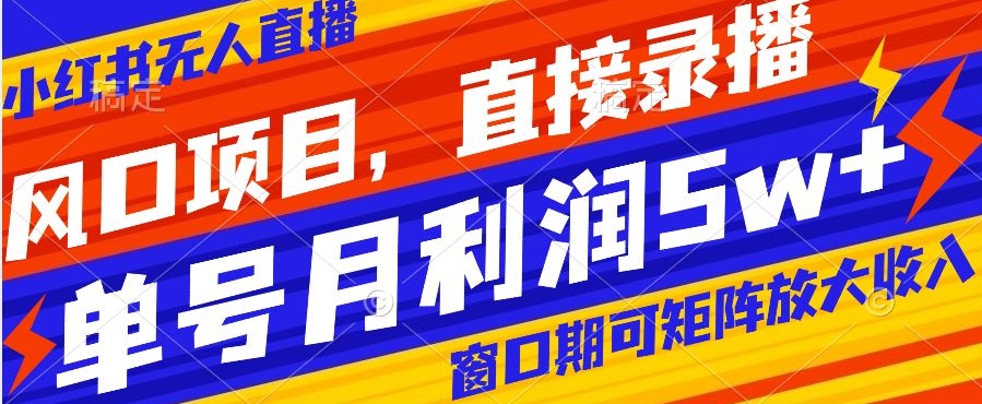 风口项目，小红书无人直播带货，直接录播，可矩阵，月入5w+【揭秘】-大齐资源站