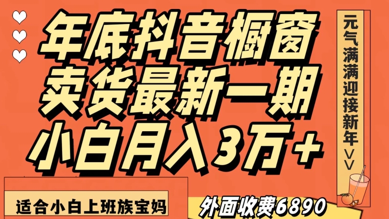 外面收费6890元年底抖音橱窗卖货最新一期，小白月入3万，适合小白上班族宝妈【揭秘】-大齐资源站