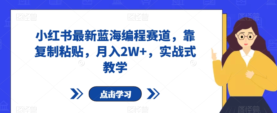 小红书最新蓝海编程赛道，靠复制粘贴，月入2W+，实战式教学【揭秘】-大齐资源站