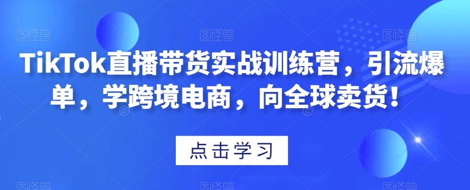 TikTok直播带货实战训练营，引流爆单，学跨境电商，向全球卖货！-大齐资源站