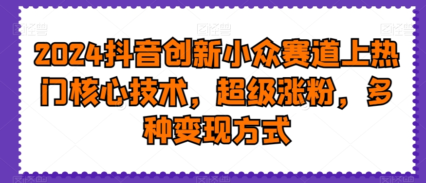 2024抖音创新小众赛道上热门核心技术，超级涨粉，多种变现方式【揭秘】-大齐资源站