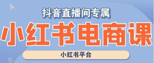 小红书电商高级运营课程，实操教学+案例分析-大齐资源站