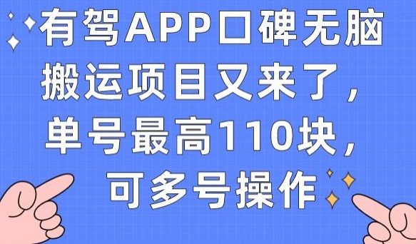 有驾APP口碑无脑搬运项目又来了，单号最高110块，可多号操作-大齐资源站