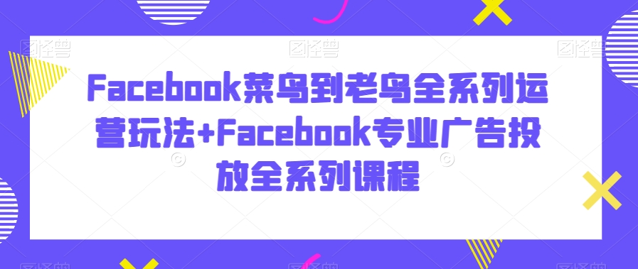 Facebook菜鸟到老鸟全系列运营玩法+Facebook专业广告投放全系列课程-大齐资源站