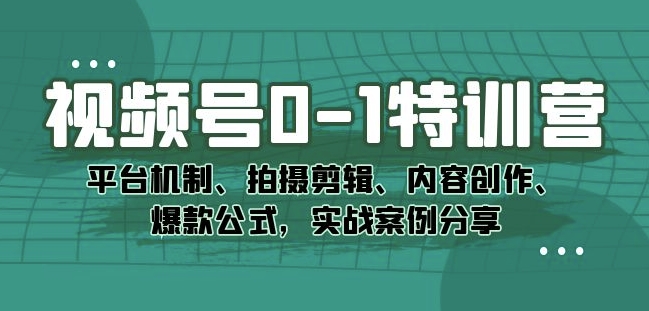 视频号0-1特训营：平台机制、拍摄剪辑、内容创作、爆款公式，实战案例分享-大齐资源站