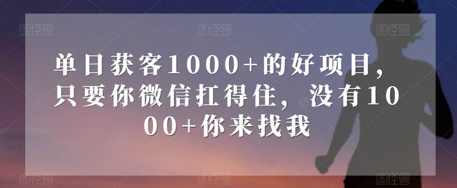 单日获客1000+的好项目，只要你微信扛得住，没有1000+你来找我【揭秘】-大齐资源站