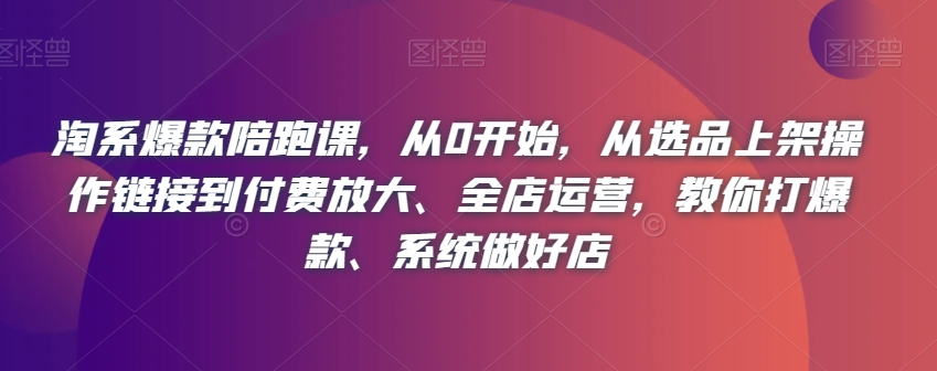 淘系爆款陪跑课，从0开始，从选品上架操作链接到付费放大、全店运营，教你打爆款、系统做好店-大齐资源站