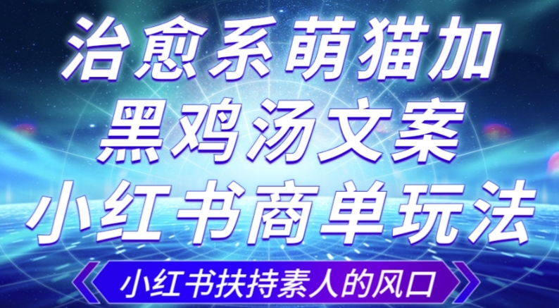 治愈系萌猫加+黑鸡汤文案，小红书商单玩法，3~10天涨到1000粉，一单200左右-大齐资源站