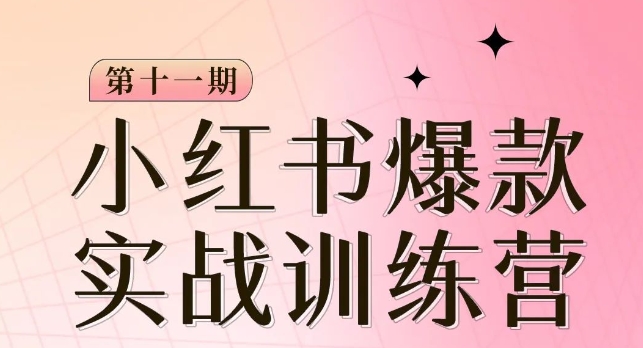 小红书博主爆款训练营第11期，手把手教你从0-1做小红书，从定位到起号到变现-大齐资源站