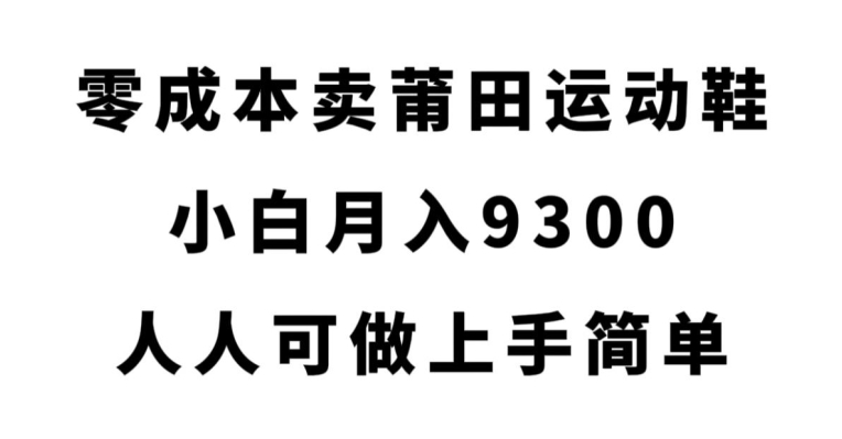 零成本卖莆田运动鞋，小白月入9300，人人可做上手简单【揭秘】-大齐资源站