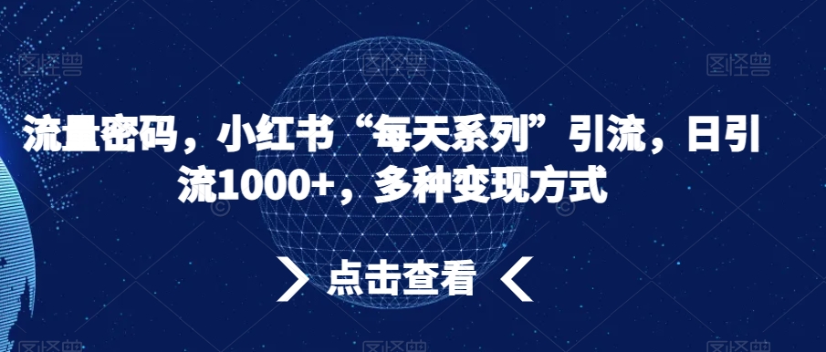 流量密码，小红书“每天系列”引流，日引流1000+，多种变现方式【揭秘】-大齐资源站