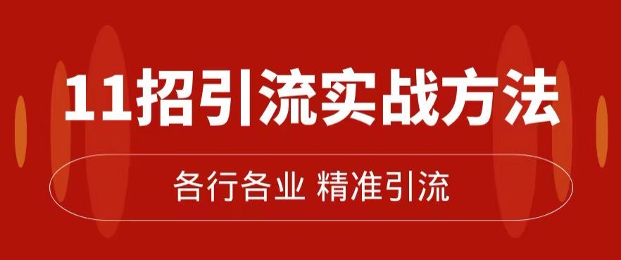 精准引流术：11招引流实战方法，让你私域流量加到爆（11节课完整)-大齐资源站