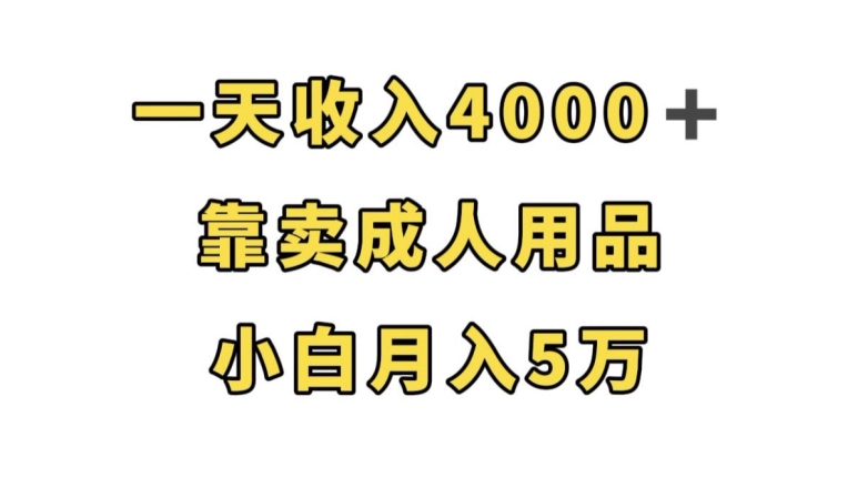 一天收入4000+，靠卖成人用品，小白轻松月入5万【揭秘】-大齐资源站