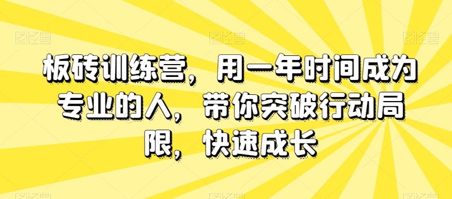 板砖训练营，用一年时间成为专业的人，带你突破行动局限，快速成长-大齐资源站