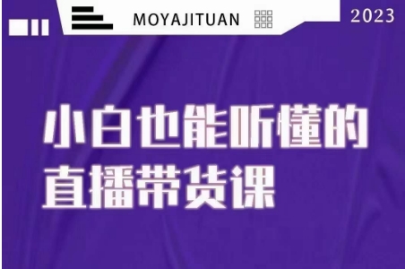 大威本威·能听懂的直播带货课，小白也能听懂，20节完整-大齐资源站