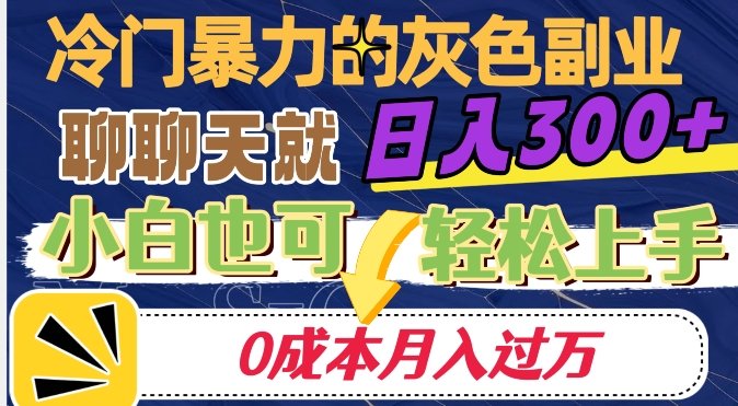 冷门暴利的副业项目，聊聊天就能日入300+，0成本月入过万【揭秘】-大齐资源站