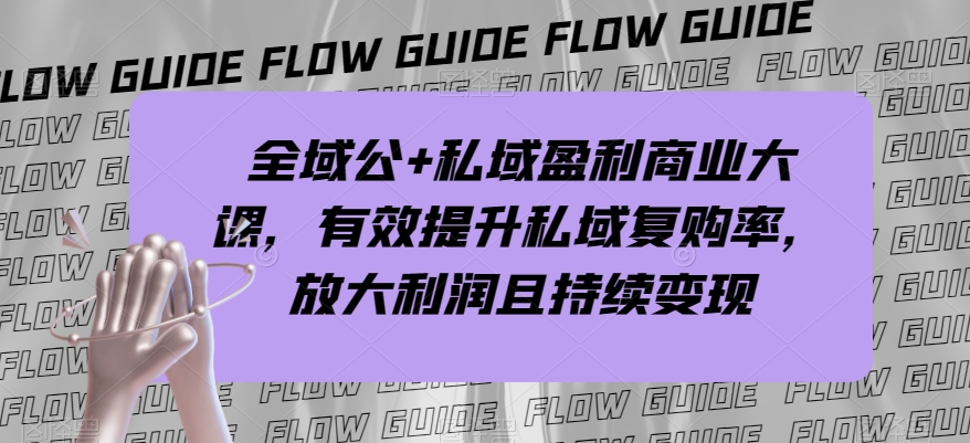 全域公+私域盈利商业大课，有效提升私域复购率，放大利润且持续变现-大齐资源站