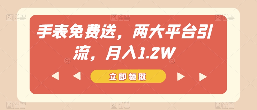 手表免费送，两大平台引流，月入1.2W【揭秘】-大齐资源站