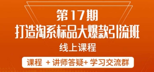 南掌柜-第17期打造淘系标品大爆款，5天线上课-大齐资源站