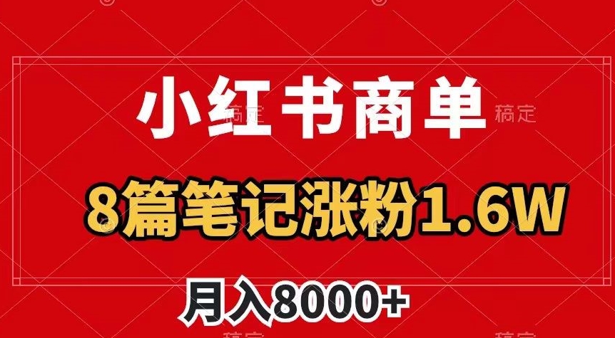 小红书商单最新玩法，8篇笔记涨粉1.6w，作品制作简单，月入8000+【揭秘】-大齐资源站