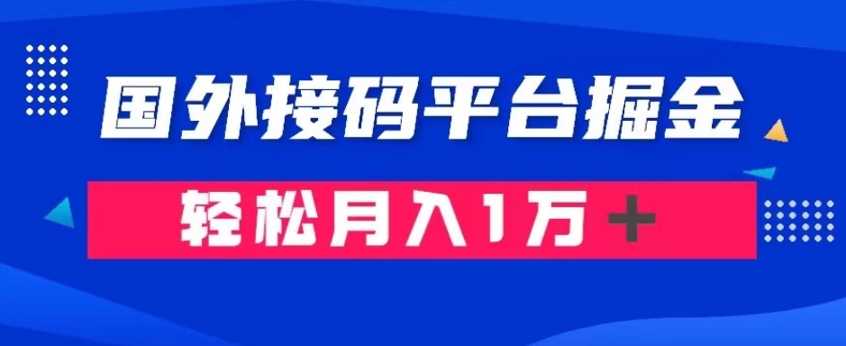 通过国外接码平台掘金：成本1.3，利润10＋，轻松月入1万＋【揭秘】-大齐资源站