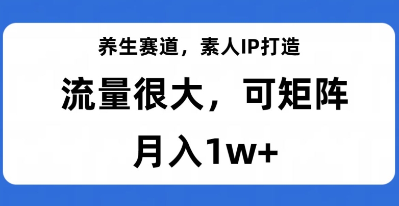 养生赛道，素人IP打造，流量很大，可矩阵，月入1w+【揭秘】-大齐资源站