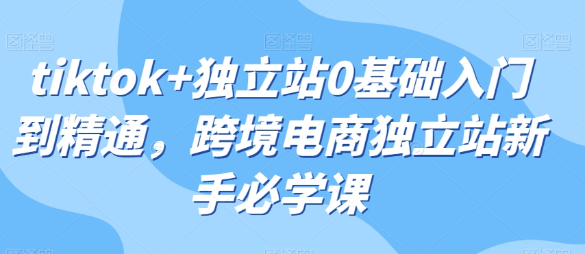 tiktok+独立站0基础入门到精通，跨境电商独立站新手必学课-大齐资源站