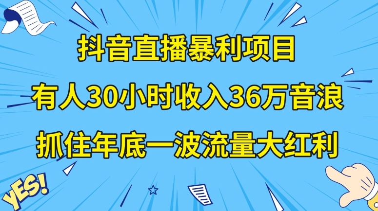 抖音直播暴利项目，有人30小时收入36万音浪，公司宣传片年会视频制作，抓住年底一波流量大红利【揭秘】-大齐资源站