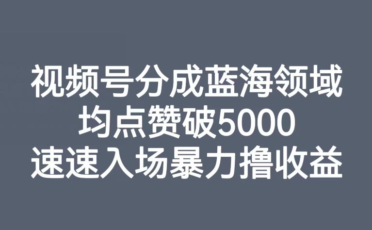 视频号分成蓝海领域，均点赞破5000，速速入场暴力撸收益-大齐资源站