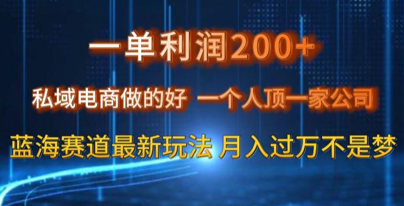 一单利润200私域电商做的好，一个人顶一家公司蓝海赛道最新玩法【揭秘】-大齐资源站