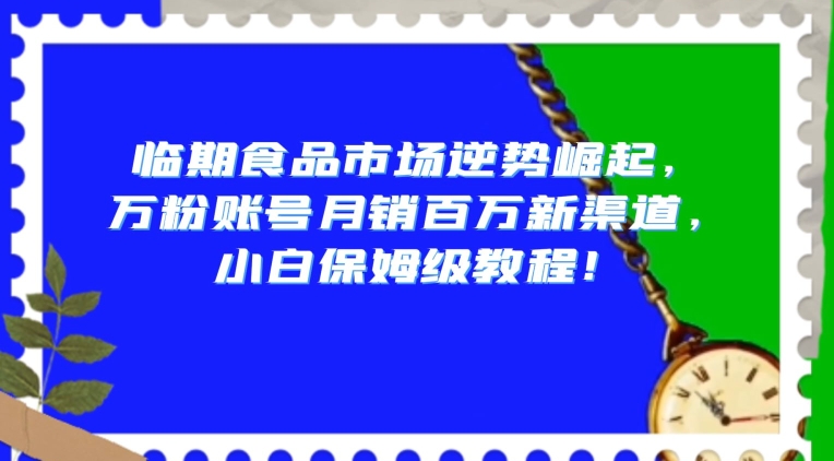 临期食品市场逆势崛起，万粉账号月销百万新渠道，小白保姆级教程【揭秘】-大齐资源站