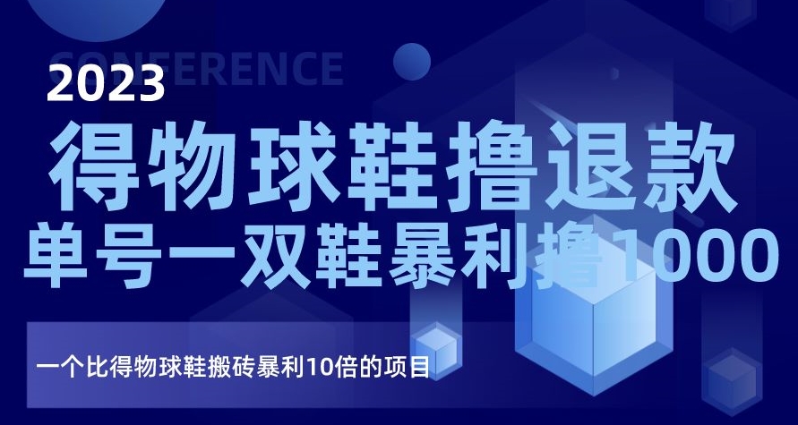 2023得物球鞋撸退款，单号一双鞋暴利撸1000，一个比得物球鞋搬砖暴利10倍的项目【揭秘】-大齐资源站