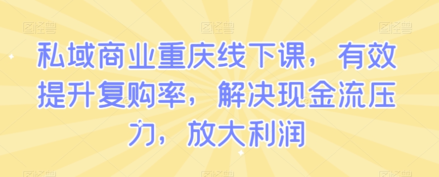 私域商业重庆线下课，有效提升复购率，解决现金流压力，放大利润-大齐资源站