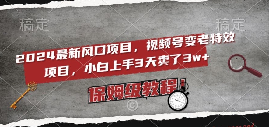 2024最新风口项目，视频号变老特效项目，电脑小白上手3天卖了3w+，保姆级教程【揭秘】-大齐资源站